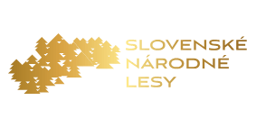 Logo Slovenské národné lesy a.s. – prejsť na úvodnú stránku